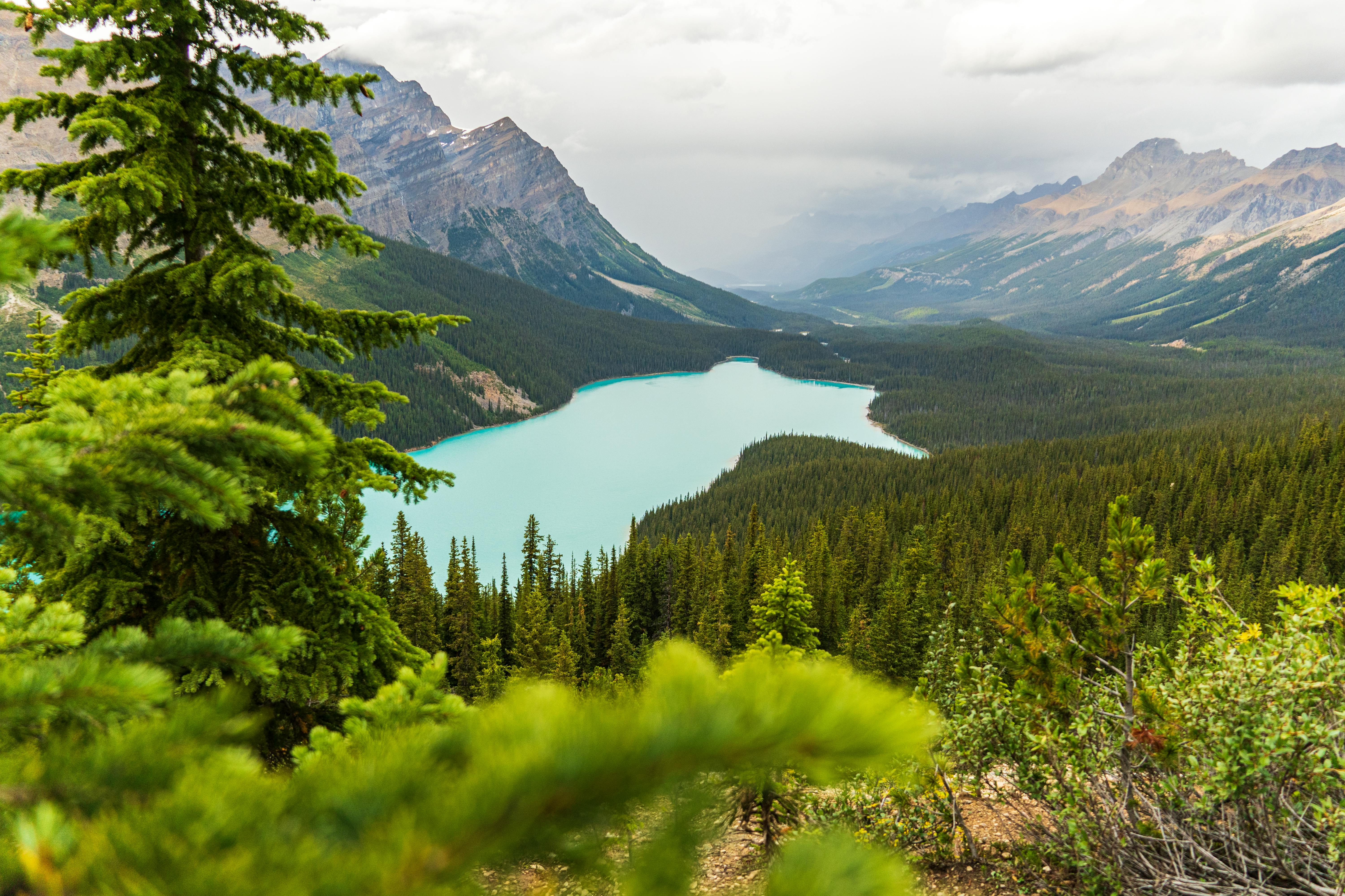 Stunning turquoise lake surrounded by mountains in Banff